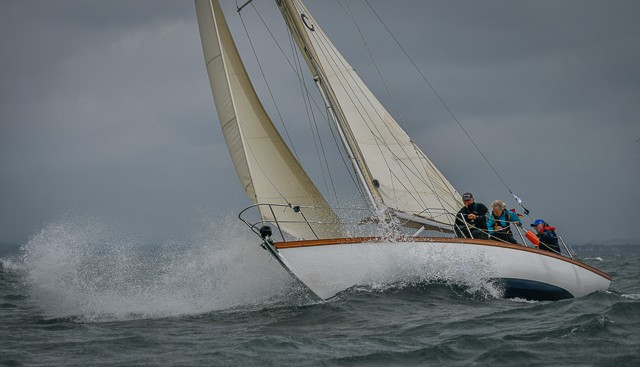  TJP7667