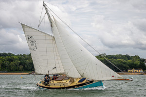 Tim Jeffreys 6619