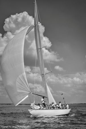 CCW 2014 Tim Jeffreys TJP1133