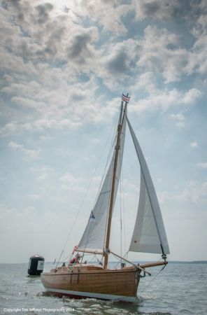 CCW 2014 Tim Jeffreys  TJP0965