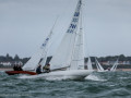 ccl26d3